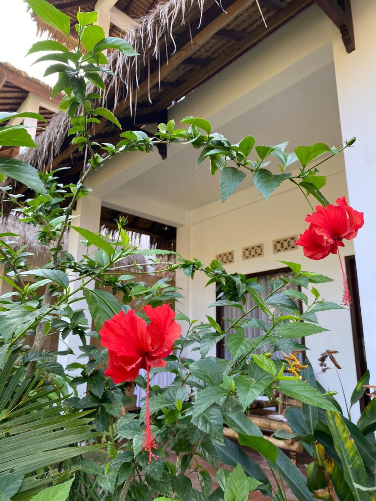 Cewin'S Homestay Kuta  Habitación foto