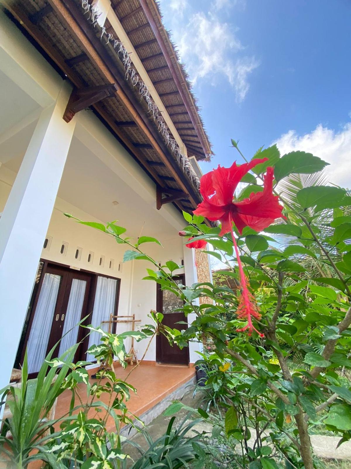 Cewin'S Homestay Kuta  Habitación foto